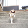 お出かけ