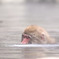 深く浸かる