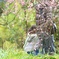 春の陽ざし