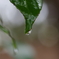 雨の日は