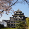烏城と桜