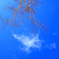 空@大菩薩峠