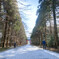 WALK