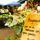 pike place market