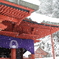 境内の紅に雪降りて