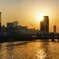夕日