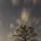 空