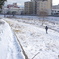 winter runner