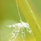 雨上がり