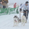 犬ぞりレースにて
