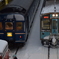 はまなすと青い森鉄道