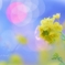 小さなささやき