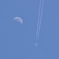飛行機