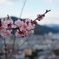 春。