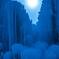 -Frozen valley -