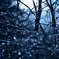 -Snow light parade -
