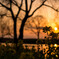 Sunset_20160303
