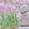 「お地蔵様の陽春」
