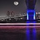 night art