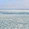 青い海と白い氷の共演