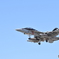 SHADOWHAWKS