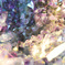 purple crystal