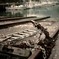 a port
