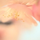 待ちつづけた、きみを