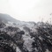 雪