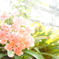 2016030501