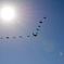 Arrow of the sun