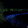 南伊豆夜桜流れ星1