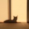 日射し