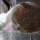 お昼寝中.......(=^・^=)