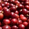 this is the coffee