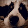 居眠り中・・・