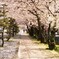 花道