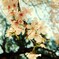 ☆spring☆