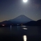 月華飛石