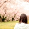 2016.03.06 試験場の桜