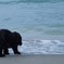 海辺で遊ぶ-2