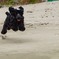 海辺で遊ぶ-4
