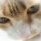 まどろみ