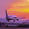 夕焼と飛行機