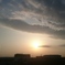 先日の夕日
