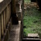 神社