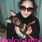 2010_0326dolceange0032