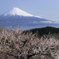 「白梅と」