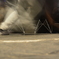 breakdance