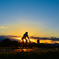 夕陽に乗って